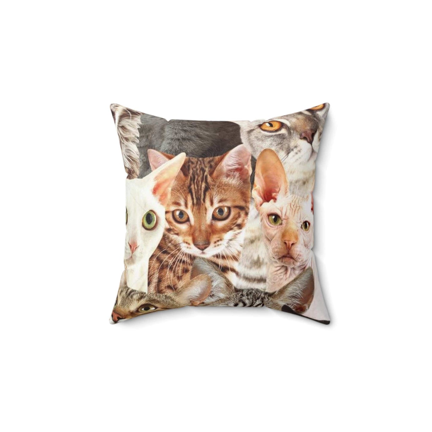 Feline Square Pillow