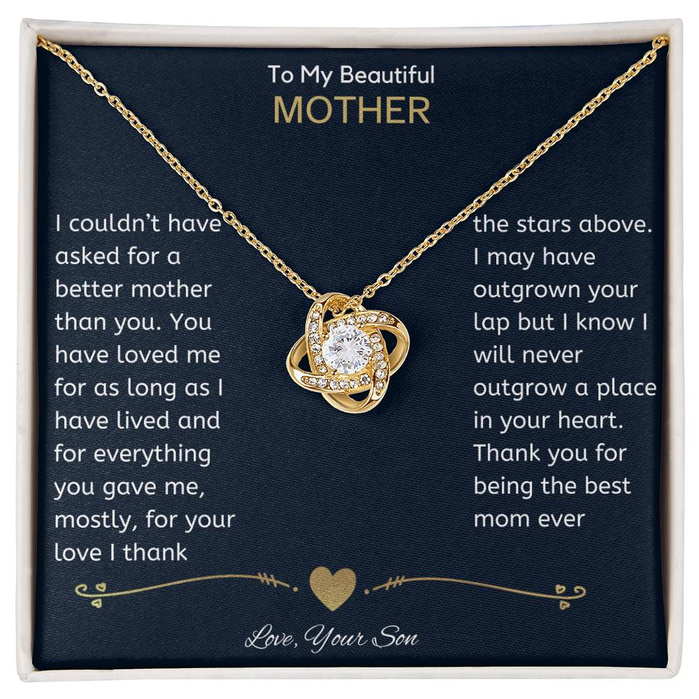 To My Beautiful Mother - I couldn't have asked