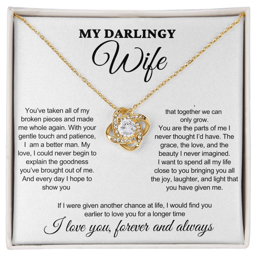 My Darling Wife - Taken All Of My Broken Pieces